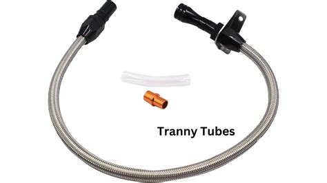 ashemaletube.comm|Tranny Tube .